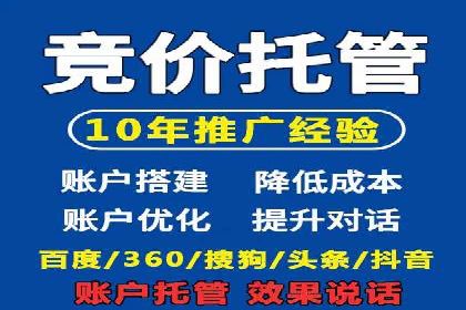 竞价排名在电商行业的实战案例