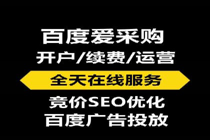 XX领域竞价广告的投放策略及效果展示